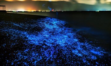 The truth about the Maldives’ magical glowing beach