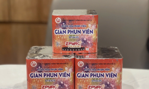 Ministry of public security proposes firework production expansion