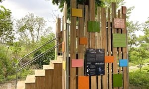 AI decodes birdsong in Hanoi