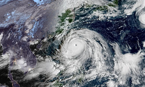 Hong Kong cancels over 700 flights due to super typhoon Ragasa