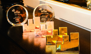 Vinfast sweeps global marketing awards