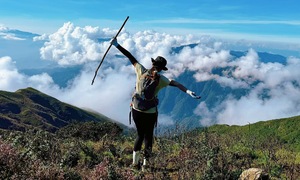 Check in Vietnam: celebrating Vietnam's beauty