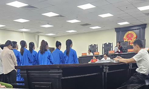 19 associates of Mr. Pips sentenced to 10-18 years in forex scam