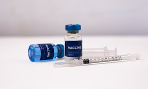What's in a vaccine?