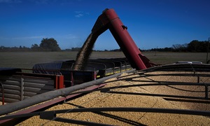 China turns to Argentinian soybeans amid US trade war