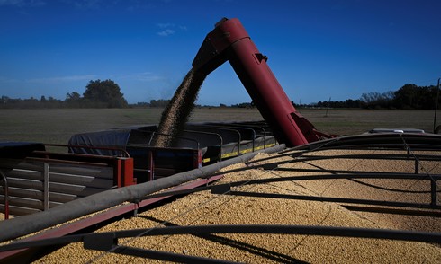 China turns to Argentinian soybeans amid US trade war