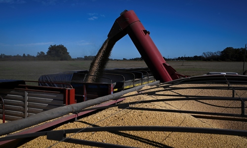 China turns to Argentinian soybeans amid US trade war