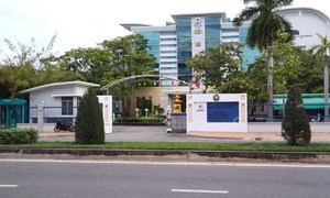 Scheme helps favored company win 25 EVN Binh Thuan contracts