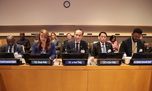 Vietnam promotes Hanoi convention signing ceremony at UN