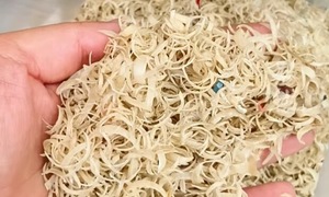 Human fingernails fetched high prices for traditional medicine