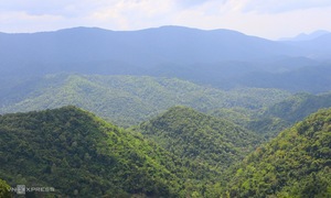 Vietnam could earn $1.9 billion annually from international carbon credit sales