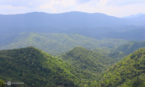 Vietnam could earn $1.9 billion annually from international carbon credit sales