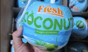 US surpasses China as Vietnam's largest coconut importer