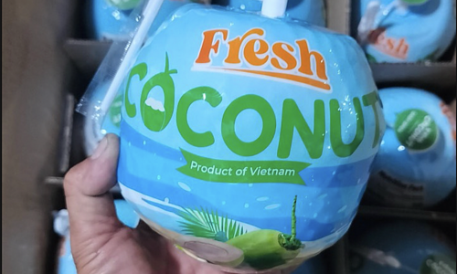 US surpasses China as Vietnam's largest coconut importer