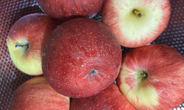 What happens to your blood pressure when you eat an apple a day?