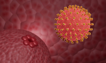 Oral sex leads to genital warts diagnosis for young woman