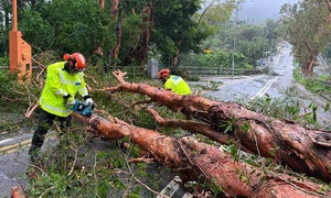 How Hong Kong minimized damage from super typhoon Ragasa