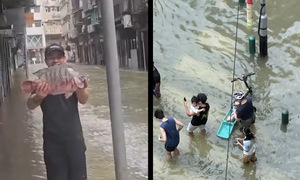 Macau residents catch fish on flooded streets after Typhoon Ragasa