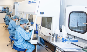 Infertility caused by tuberculosis in the uterine lining