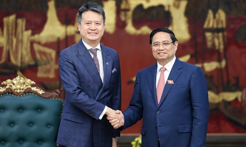 WIPO pledges support for Vietnamese brands