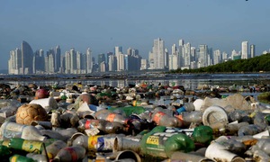 How bacteria recycle plastic