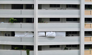 Vietnamese woman fatally stabbed by neighbor in Singapore