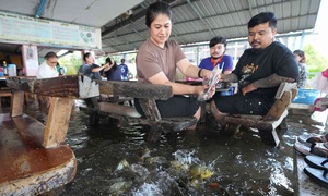 Flooded Thai restaurant draws crowds with fish swimming around feet