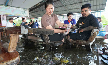 Flooded thai restaurant becomes an unexpected sensation