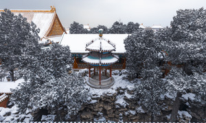 Inside the secret garden at the Forbidden City after a century