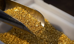Global gold prices plummet