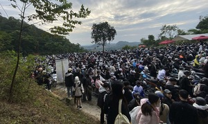 Ba Vi National Park overwhelmed as visitors flock for cloud hunting and flower viewing