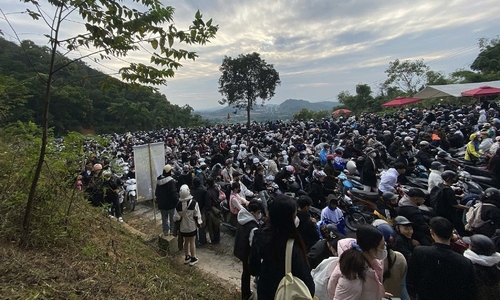 Ba Vi National Park overwhelmed as visitors flock for cloud hunting and flower viewing