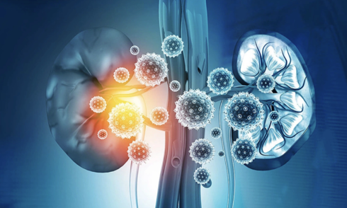 Kidneys 'cry for help' through five stages