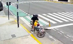 Woman fiercely fights back against two phone snatchers