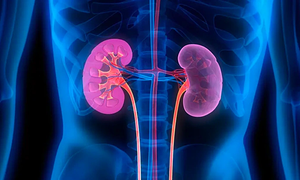 Does frequent sexual activity cause kidney failure?
