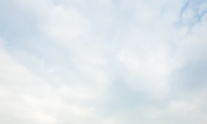 Judges for the second car test