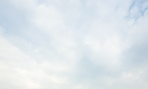 Judges for the second car test