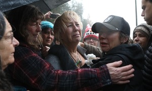 Despair in Canada's 'ostrich war'