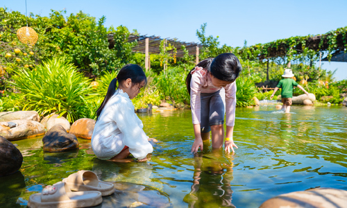 Transforming a home garden into a "rural retreat" for tourists