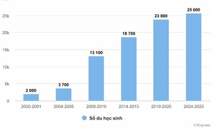 Vietnamese international student numbers in US reach all-time high