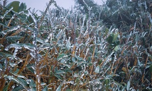High mountain peaks in Lao Cai, Lai Chau experience frost