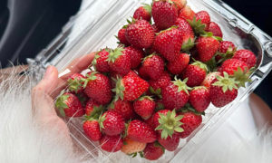 Which fruits help speed recovery from influenza A?