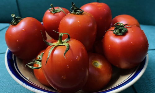 What to eat to prevent cancer?