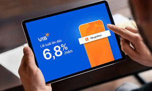 iDepo helps business owners optimize capital