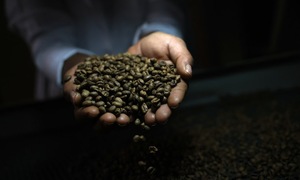 Trump removes 40% import tax on Brazilian beef and coffee