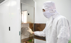 Proposal for full scholarships for PhD students