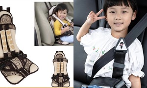 Unapproved "safety devices" for children in cars