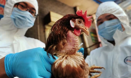 First person in US dies from H5N5 avian influenza