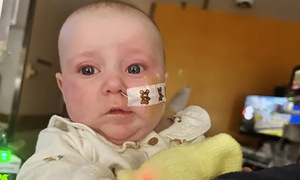 The nightmare after contaminated ByHeart formula