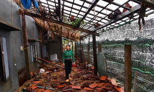 Dak Lak floods 'beyond the script'